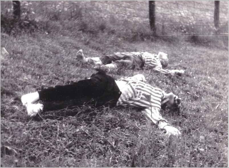 Murdered inmates during the Operation of Mauthausen